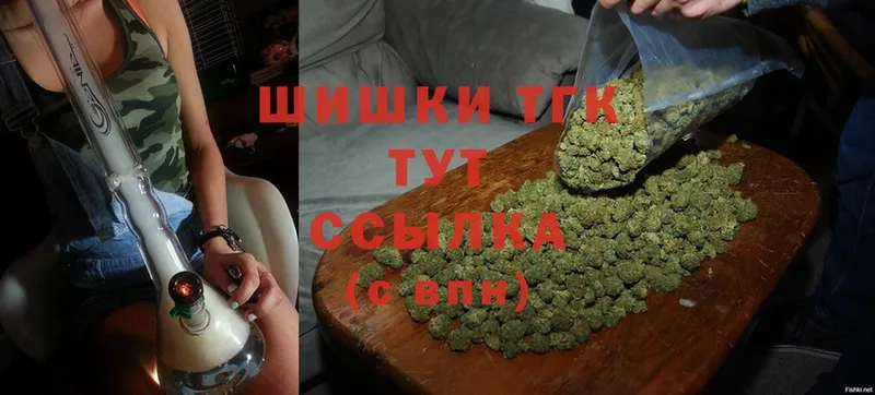 Бошки марихуана THC 21%  как найти закладки  блэк спрут зеркало  Грязовец 